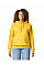 Daisy Softstyle Midweight Fleece Adult Hoodie