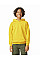 Daisy Softstyle Midweight Fleece Youth Hoodie