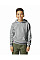 Sport Grey (RS) Softstyle Midweight Fleece Youth Hoodie