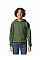 Military Green Softstyle Midweight Fleece Youth Hoodie