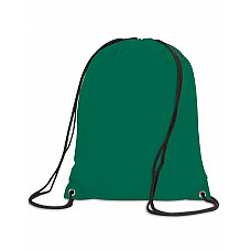 Green Stafford Drawstring Tote Backpack