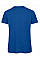 Royal Blue Inspire T/ Men_°