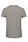 Light Grey Inspire T/ Men_°