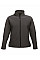 Seal Grey/Black Ablaze Women's Printable Softshell