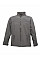 Seal Grey Uproar Men's Interactive Softshell