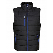 Black/ New Royal Men's Navigate Thermal Bodywarmer