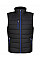 Black/ New Royal Men's Navigate Thermal Bodywarmer