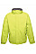 Key Lime/ Seal Grey Dover Men's Fleece Lined Bomber Jacket