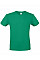 Kelly Green Men's #E150 Tee