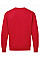 Red UCC Heavyweight Sweat