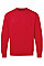 Red UCC Heavyweight Sweat