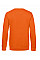 Pure Orange KING Crew Neck_°