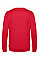 Heather Red Men's #Set In Sweatshirt