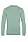 Sage Men's #Set In Sweatshirt