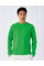 Lime Inspire Crew Neck_°