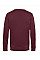 Burgundy Inspire Crew Neck_°