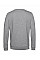 Heather Grey Inspire Crew Neck_°