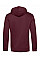 Burgundy Inspire Hooded_°