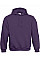 Urban Purple Hooded Sweatshirt