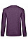 Heather Purple Women's #Set In Sweatshirt