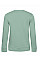 Sage Inspire Crew Neck/ Women_°