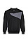 PW273 Black/Zoom Grey PW2 Sweatshirt