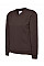 UC206 Brown Childrens Classic V-Neck Sweatshirt