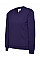 UC206 Purple Childrens Classic V-Neck Sweatshirt